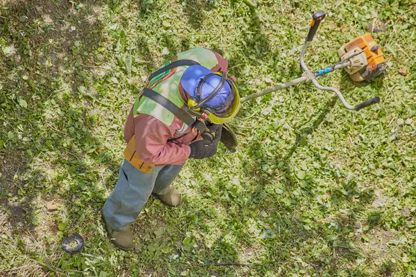 Koruyucu giysiler içinde, bahçıvan işe başlamadan önce budama tellerini inceler ve değiştirir..