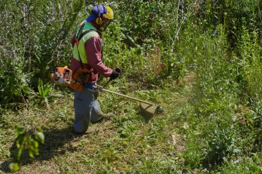 Tulumlu bir bahçıvan ve kask, sıcak bir yaz gününde çim biçme makinesiyle çimleri biçer..