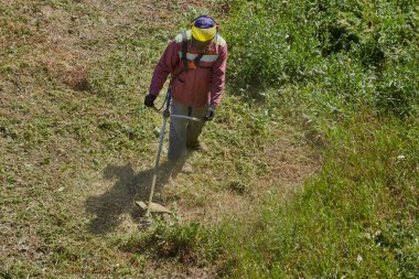 Bahçıvan çim biçme makinesiyle çimleri biçiyor.
