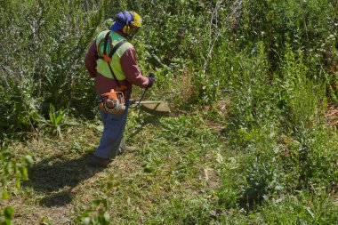 Tam teçhizatlı profesyonel bir bahçıvan çim biçme makinesiyle çimlerle ilgilenir..