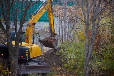 Ormandaki bir inşaat sahasında bir kova toprağı olan bir kazıcı, kazıcılı bir toprak..
