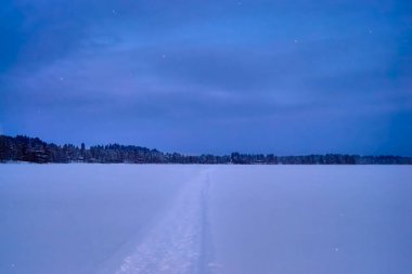 Karlı bir tarla. Ortasında bir patika var. Kış gökyüzünün altında ve ufukta bir orman..