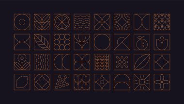 Geometrik gıda deseni. Art deco altın çizgisi doğal organik meyve bitkisi eko tarım kavramını şekillendirir. Vektör basit kümesi.