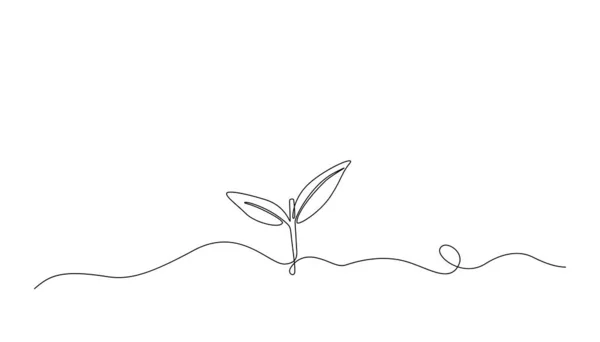 成長する芽 植物の葉の連続した1本の線画 苗の成長線形スケッチ 抽象ベクトル図 — ストックベクタ