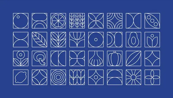 Geometrik gıda deseni. Minimum doğrusal doğal organik meyve sebzeleri bitki şekilleri, marka kimlik tasarımı. Vektör basit kümesi.