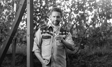 farmer drink wine. cheers. vinedresser drinking. male vineyard owner. professional winegrower on grape farm. handsome man with wine glass. enologist with wineglass. sommelier.