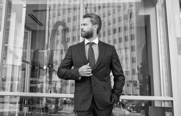 Serious Handsome Entrepreneur Businesslike Suit Office Business Fashion — Zdjęcie stockowe