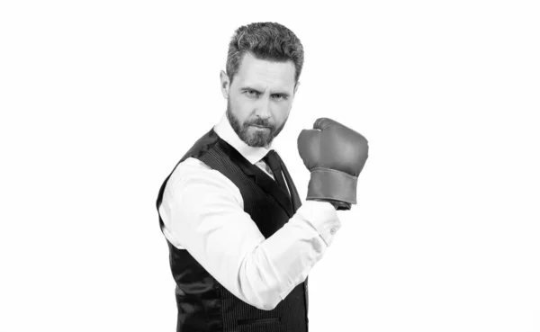 Boss Show Power Authority Businessman Boxing Gloves Punching Successful Ceo — Fotografia de Stock