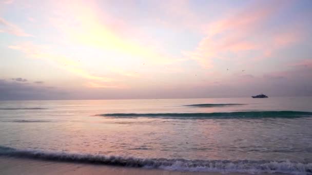 船のシルエットと雲の風景で海の夕日を飛んでいるカモメは — ストック動画