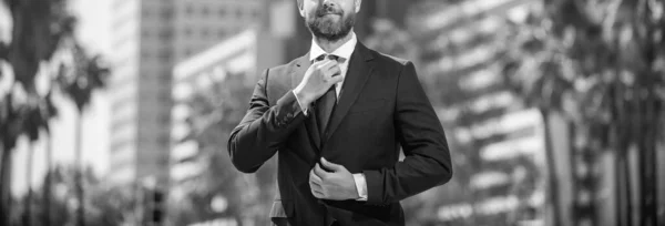 stock image successful man in businesslike suit. manager executive outside the office. male formal fashion. confident bearded boss. cropped mature businessman in formalwear. business success.