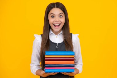 Kitapları olan liseli bir kız. Öğrenci kız.