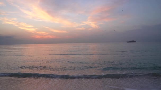 Утренний Пляж Восходе Солнца Чайками Небе Корабле Лето — стоковое видео