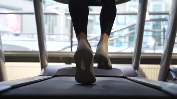 Atletyczne Stopy Trampkach Widok Tyłu Bieganie Bieżni Fitness Siłowni Trening — Wideo stockowe