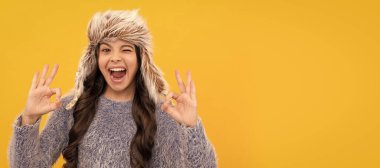express positive emotion. winter fashion. ok. cheerful kid with curly hair in earflap hat. Banner of child girl in winter hat, studio poster header with copy space
