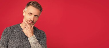 Man face portrait, banner with copy space. grizzled guy in sweater on red background. hoary man portrait with beard. male fashion model