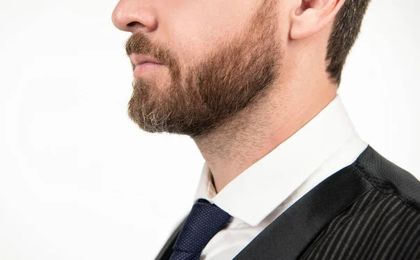 Cabelo Barba Cuidados Empresário Formal Isolado Branco Confiante Bonito Cara — Fotografia de Stock
