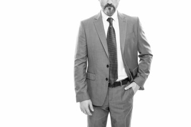 cropped entrepreneur isolated on white. formal fashion. professional bearded ceo. confident boss. copy space. businessman in formalwear. business success. successful man in businesslike suit.