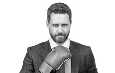 Karizma. Patron güç ve otorite göster. Boks eldivenli güçlü bir iş adamı. Başarılı CEO boksörü. Acımasız mücadele ve başarı. Kendine güvenen adam şirket savaşına hazır. iş nakavtı.