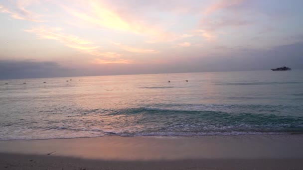 Океан Восход Солнца Кораблем Силуэт Летающих Чаек Замедленное Движение Послесвечение — стоковое видео