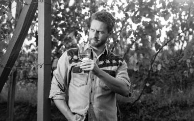 Şarap kadehli sakallı adam. Şarap kadehli şarap üreticisi. Şarap garsonu. Çiftçi şampanya içer. Şerefe! Vinedresser içiyor. Erkek üzüm bağı sahibi. Üzüm çiftliğinde profesyonel şarap üreticisi.