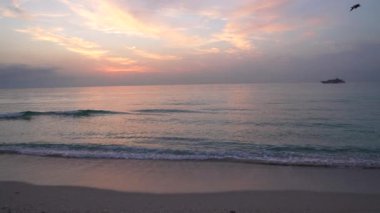 Okyanusun deniz manzarası, gün doğumu gemi silueti ve uçan martı, yavaş çekim, artçı ışıltı..