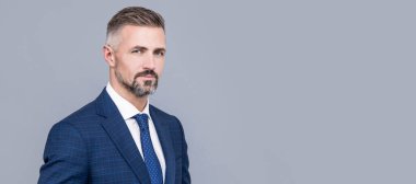 mature man with grizzled hair in formal suit copy space, formal. Man face portrait, banner with copy space