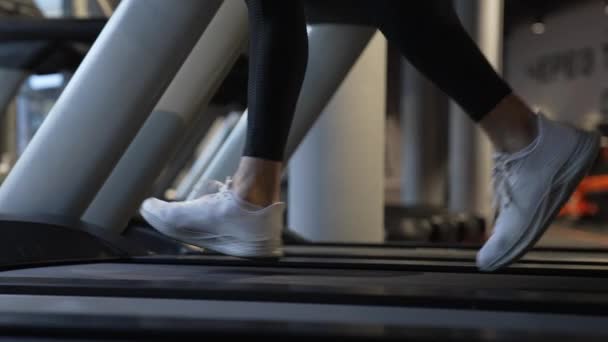 ジムでフィットネストレッドミルを走るアスレチック足 トレッドミルのトレーニング ジム用フィットネス機器 フィットネスと運動 心臓トレーニング — ストック動画