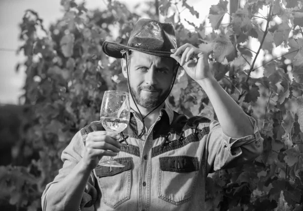 vinedresser drinking. male vineyard owner. professional winegrower on grape farm. welcoming bearded man in hat with wine glass. enologist with wineglass. sommelier. farmer drink wine. cheers.