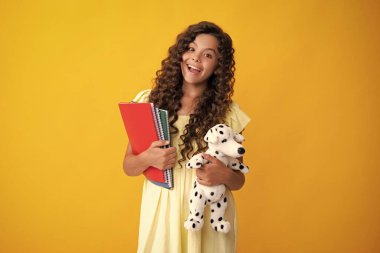 12, 13, 14 yaşlarındaki liseli kızın oyuncağı. Okul çocukları sarı arka planda en sevdikleri oyuncaklara sarılıyorlar. Mutlu bir çocukluk. Mutlu ergen, pozitif ve gülümseyen liseli kız duyguları