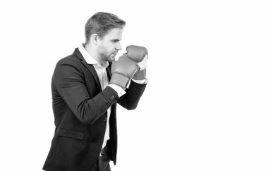 Savaşacağım. Müdür boks pozisyonunda. Boks eldivenli profesyonel bir adam. Beyaz üzerine izole edilmiş patron portresi. Savaşmaya devam et, alanı kopyala.