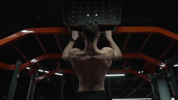 Μυώδης Αθλητής Pullup Στο Γυμναστήριο Του Αθλητισμού Πίσω Όψη Σπορ — Αρχείο Βίντεο