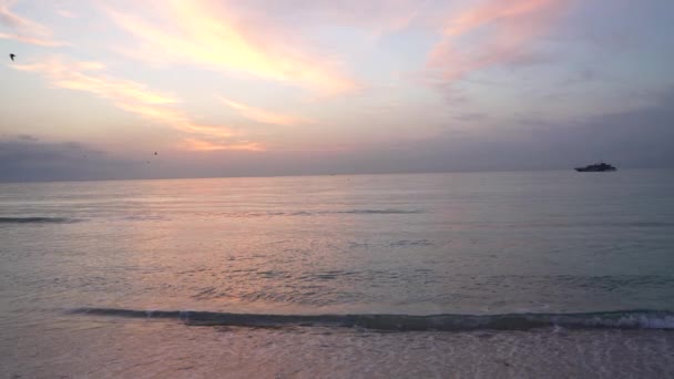 Awsome Seascape Birds Flying Sunset Sky Ship Horizon Sundown — Vídeo de stock