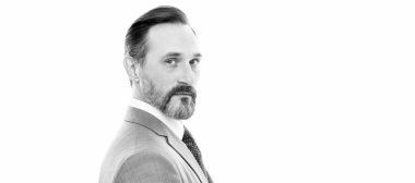 Man face portrait, banner with copy space. mature grizzled man lawyer in businesslike suit isolated on white copy space, business success