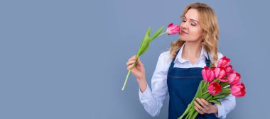 happy girl in apron with spring tulip flowers on grey background. Woman isolated face portrait, banner with mock up copy space