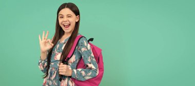 happy child carry backpack going to school winking and show ok gesture, back to school. Horizontal isolated poster of school girl student. Banner header portrait of schoolgirl copy space