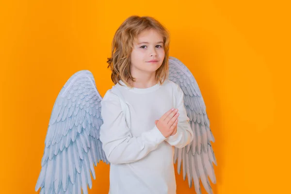 Αγγελούδια Παιδί Που Φοράει Κοστούμι Αγγέλου Λευκό Φόρεμα Και Φτερά — Φωτογραφία Αρχείου