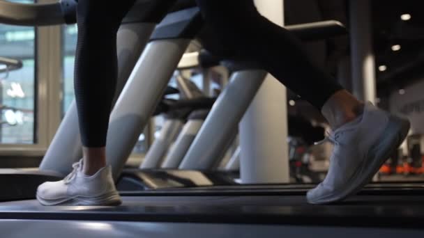 Sporcu Spor Salonunda Yürüyüş Bandında Yürüyor Sporcuların Koşu Bandı Egzersizi — Stok video