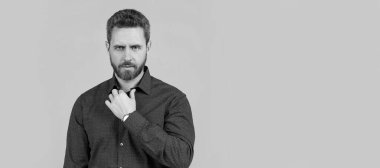 Sakallı adam, resmi olmayan gri arka plan ve teçhizat için günlük kıyafet giyer. İnsan yüzü portresi, kopyalama alanı olan pankart