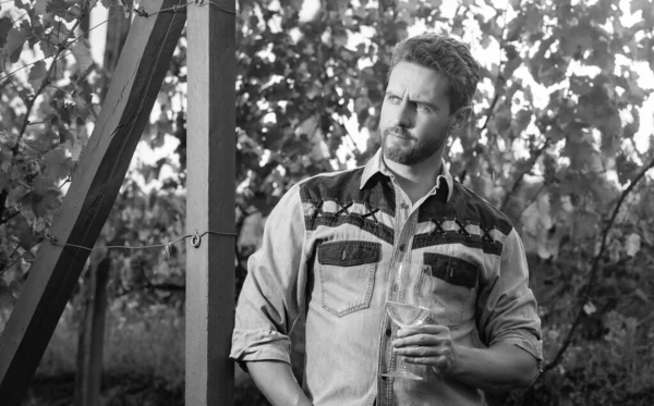 stock image professional winegrower on grape farm. bearded man with wine glass. vintner with wineglass. sommelier. farmer drink wine. cheers. vinedresser drinking. male vineyard owner.