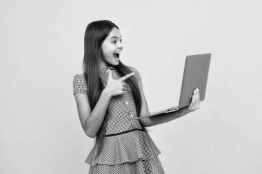 Şaşırmış genç kız. İzole edilmiş stüdyo geçmişine sahip dizüstü bilgisayarı olan öğrenci kız. İnternetteki video webinar, dizüstü bilgisayardan öğrenme, elearning dersi, bilgisayar araması. Heyecanlı ifade