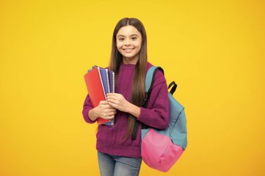 Okula dönelim. Ergen liseli kız kitaplarını ve kitaplarını öğrenmeye hazır tutuyor. İzole edilmiş sarı stüdyo geçmişi olan okul çocukları.