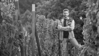 vineyard owner standing at winery among grape farm, copy space, winemaker.
