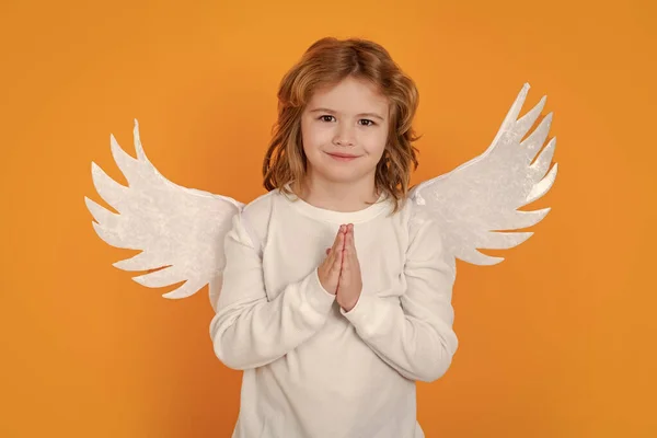 Christmas Kids Little Cupid Angel Child Wings Studio Portrait Angelic Royalty Free Stock Photos