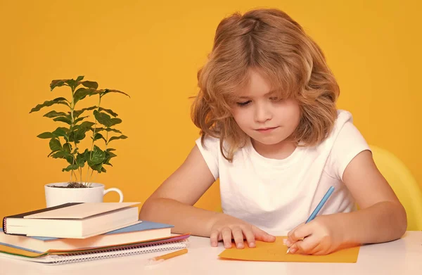 Çocuk Yazarlığı Dersi Lkokulda Okuyan Bir Okul Çocuğu Çocuk Sarı — Stok fotoğraf