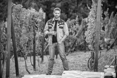 Yaz hasadında hasat yapan adam. Bahçe makası ile şarap mahsulü. Şaraphanedeki çiftçi sirkecisi. Erkek üzüm bağı sahibi bahçe aletini tutuyor. Üzüm çiftliğinde profesyonel şarap tüccarı..