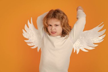 Valentines day. Kid with angel wings. Studio portrait of angel child on studio color isolated background with copy space