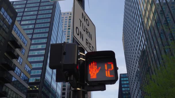 Знак Світлофора Вулиці Міста Пішоходів Пішохідний Прохід Світлофора Придорожнє Відділення — стокове відео