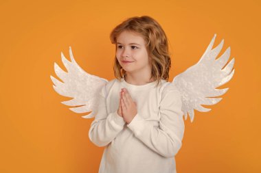 Şirin melek çocuk, stüdyo portresi. Melek kanatlı melek çocuk, soyutlanmış arka plan