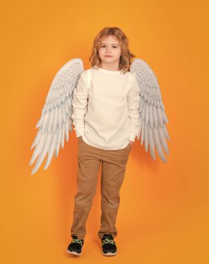 Sevgililer Günü. Sarı stüdyo arka planında melek kanatları olan sarışın şirin çocuk. Mutlu melek çocuk