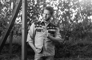 Üzüm bağı sahibi çiftçi üzüm çiftliğinde şarap içiyor, şarap garsonu..